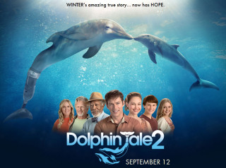 dolphin-tale2